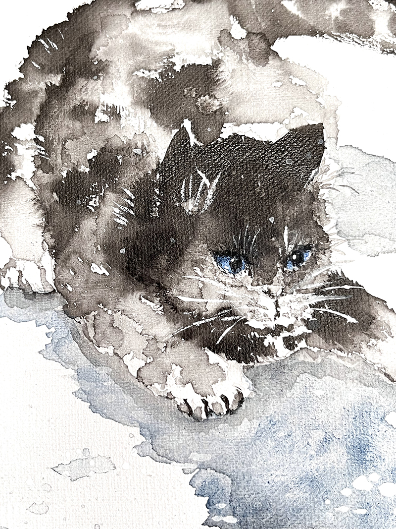 吾輩と朝雀の顔見世 作品画像 5