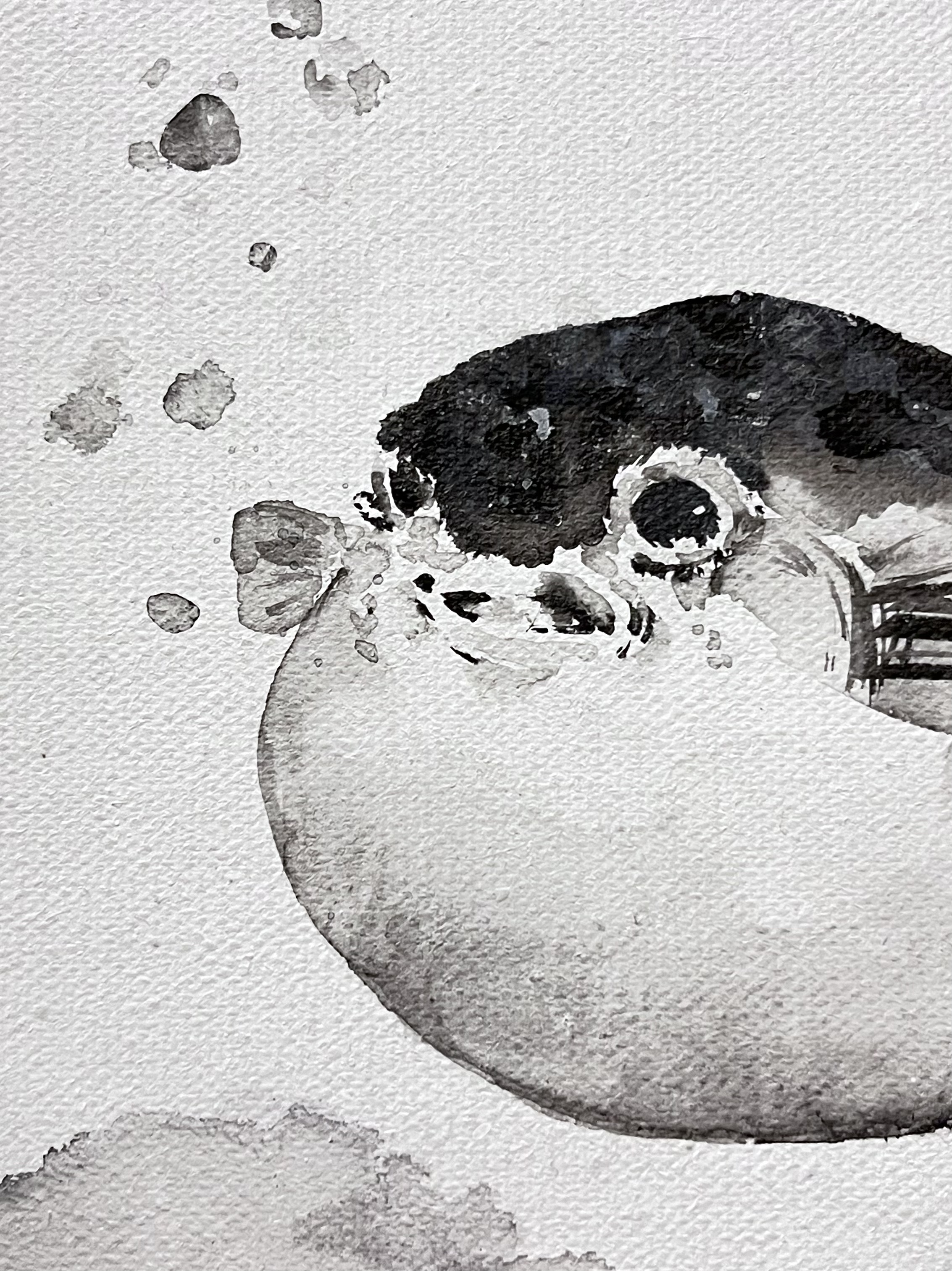 吾輩と朝雀の顔見世 作品画像 5